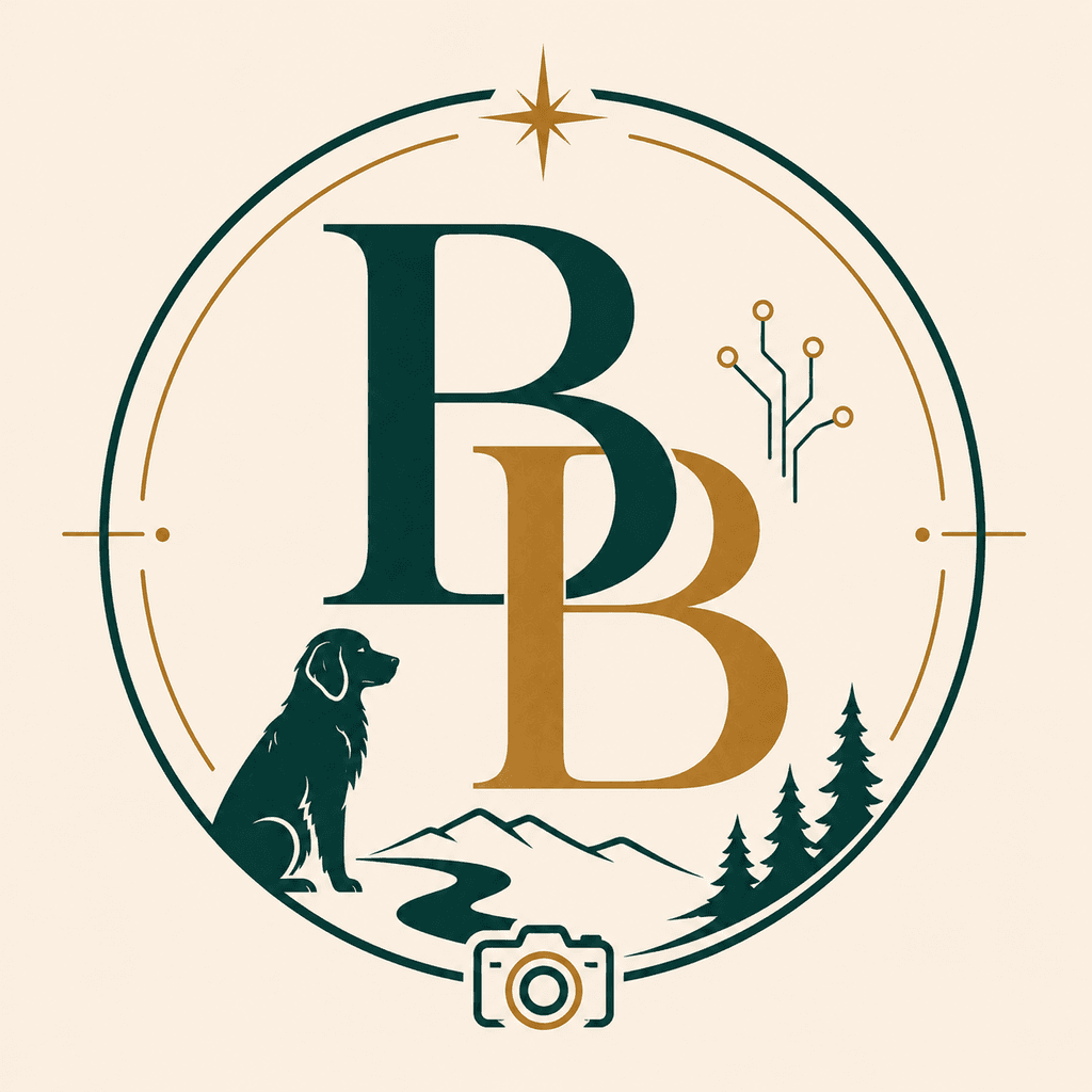 BB monogram logo